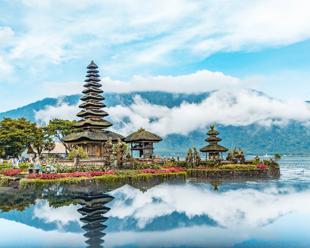 WIEDEŃ → BALI