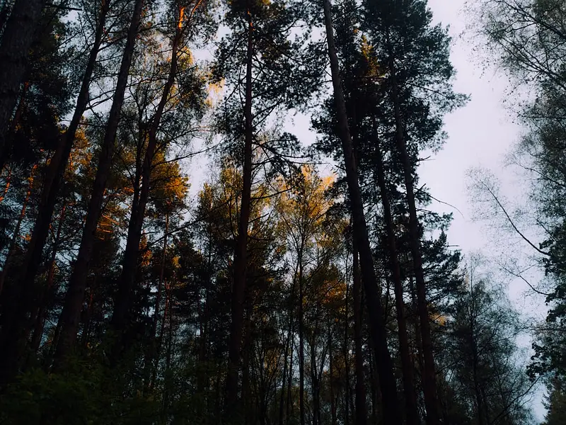 POLSKA → BUSKO-ZDRÓJ